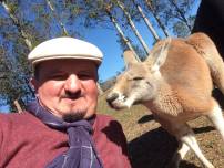 13728959_1347316188616662_1225680846918258606_n